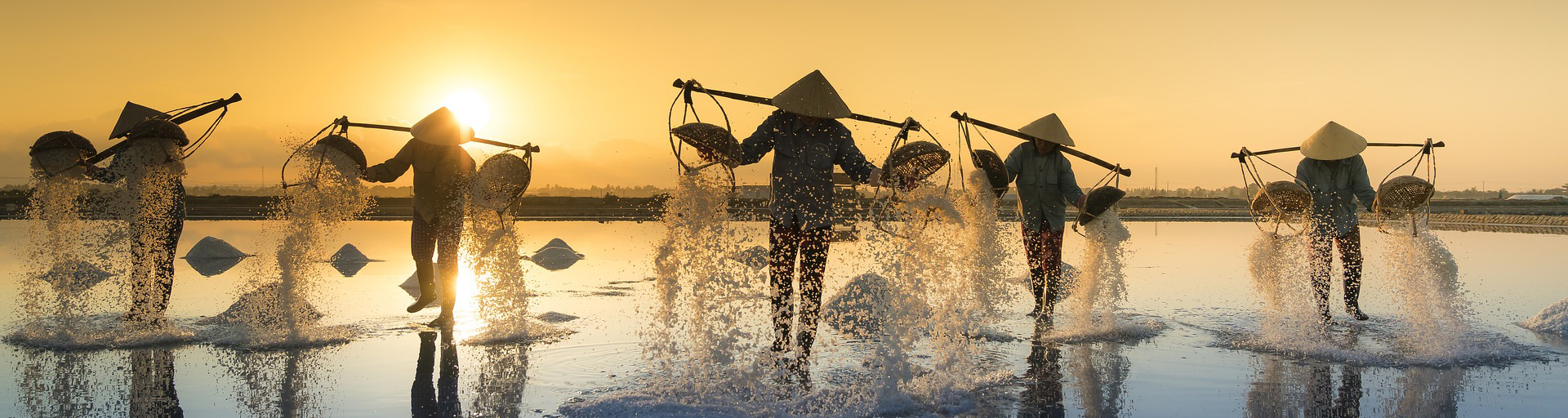 watergender